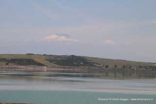 Biviere di Lentini